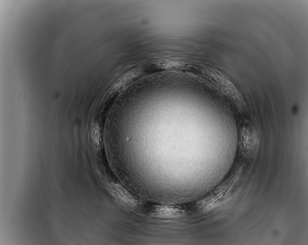 X0000100850380200806271141