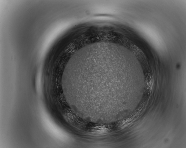 X0000100850381200806271141