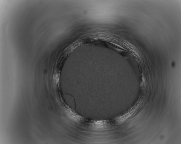 X0000100850382200806271141