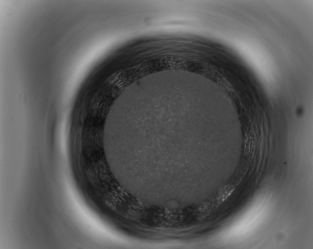 X0000100850383200806271141