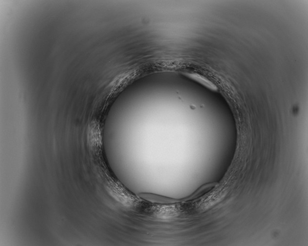 X0000100850384200806271141