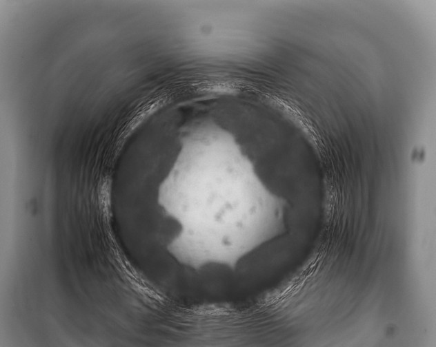 X0000100850386200806271140