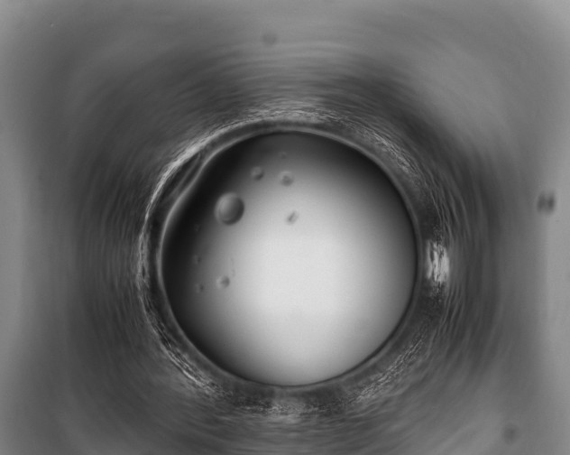 X0000100850388200806271140