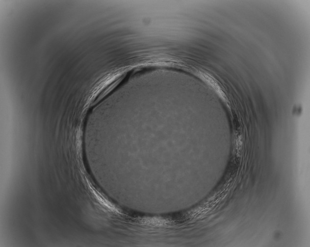 X0000100850389200806271140