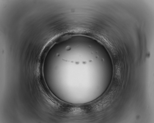 X0000100850392200806271140