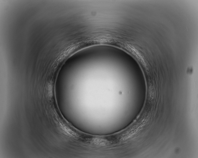 X0000100850393200806271140