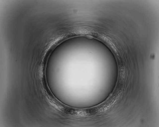 X0000100850395200806271140