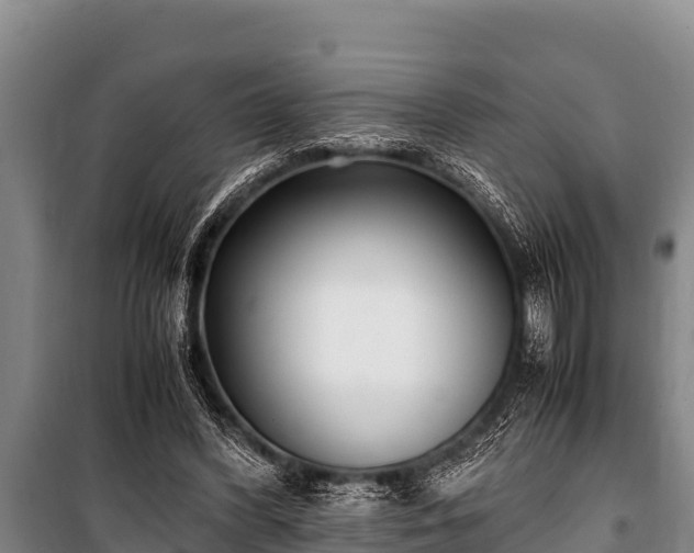 X0000100850396200806271140