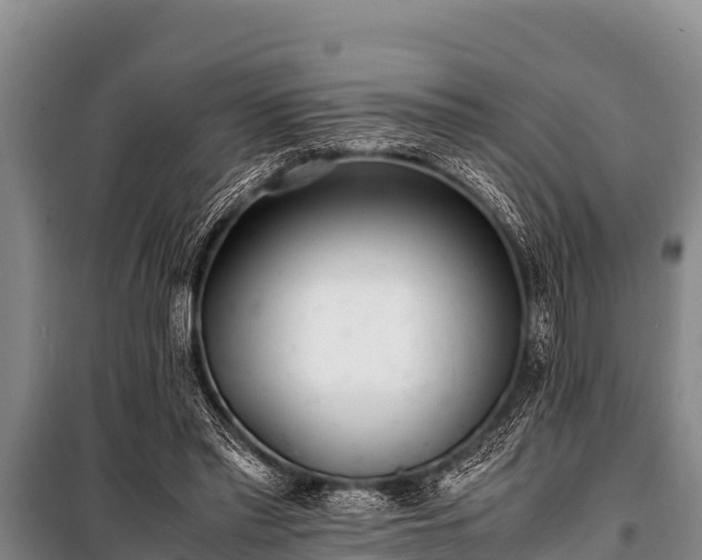 X0000100850397200806271140