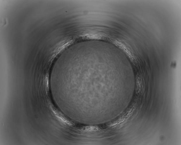 X0000100850398200806271140