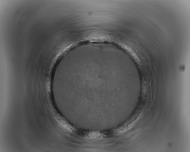 X0000100850399200806271140