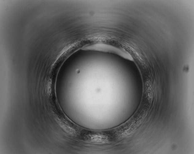 X0000100850400200806271140