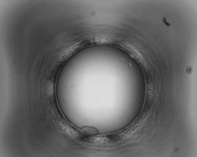 X0000100850401200806271140