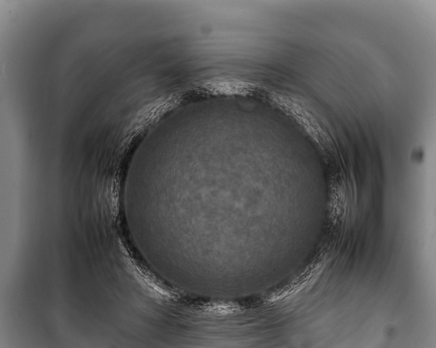 X0000100850402200806271140