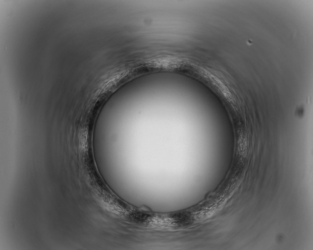 X0000100850403200806271140