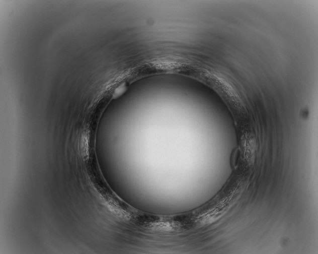 X0000100850404200806271140