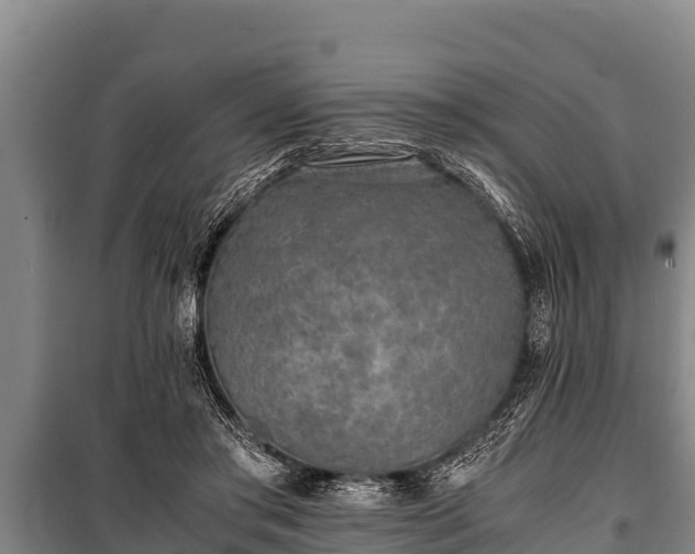 X0000100850405200806271140