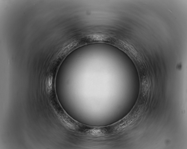 X0000100850406200806271140