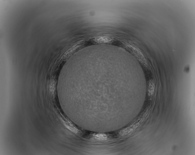 X0000100850409200806271140