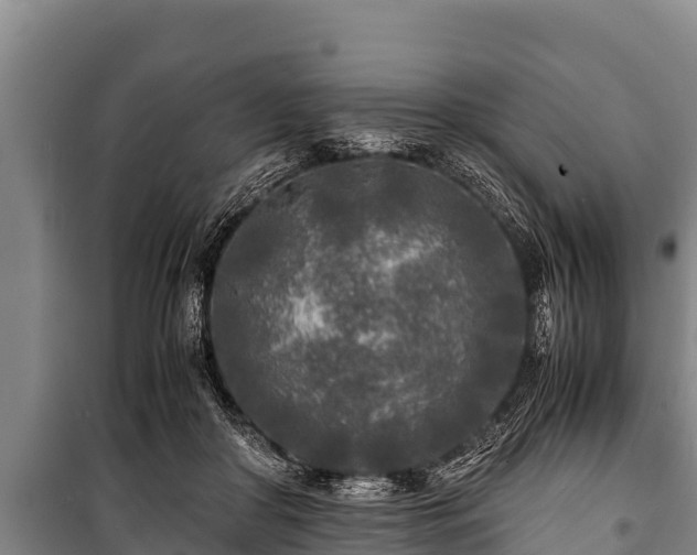 X0000100850410200806271140