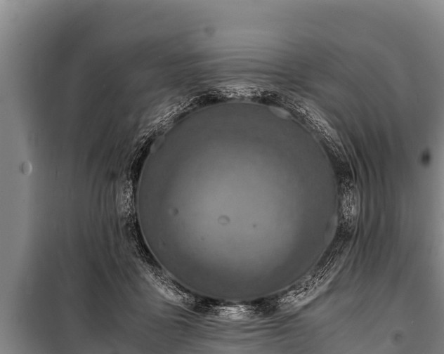 X0000100850411200806271140