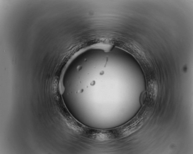 X0000100850412200806271140