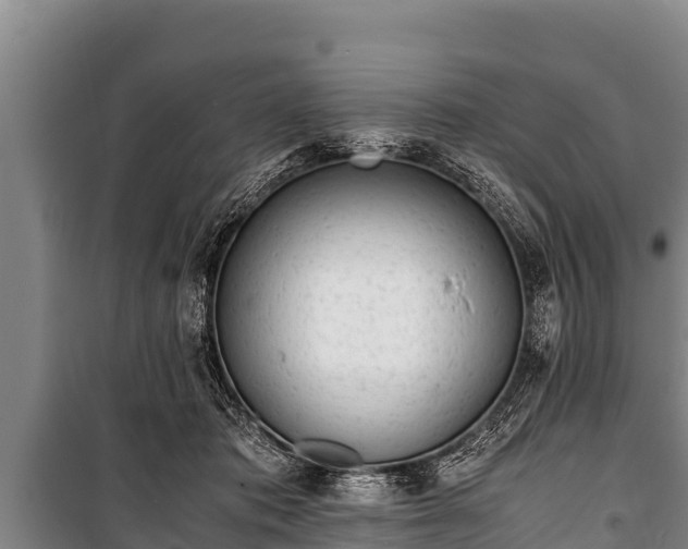 X0000100850413200806271140