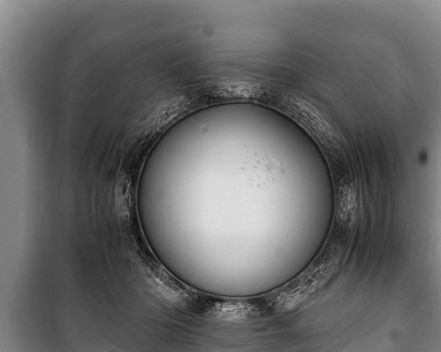 X0000100850414200806271140