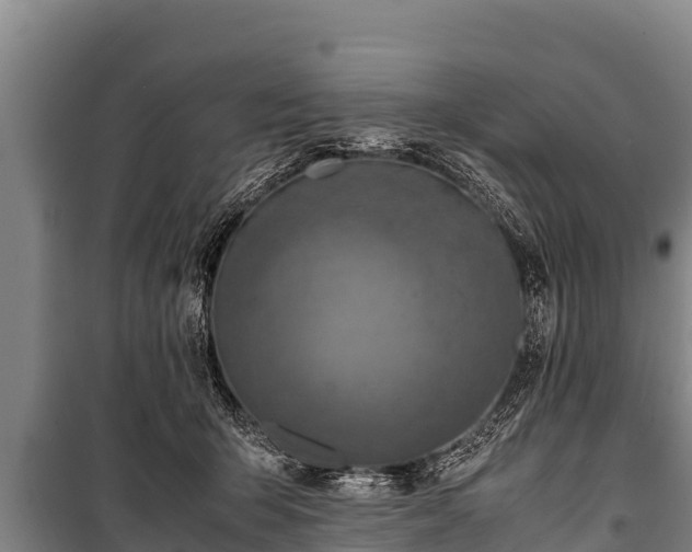 X0000100850415200806271140