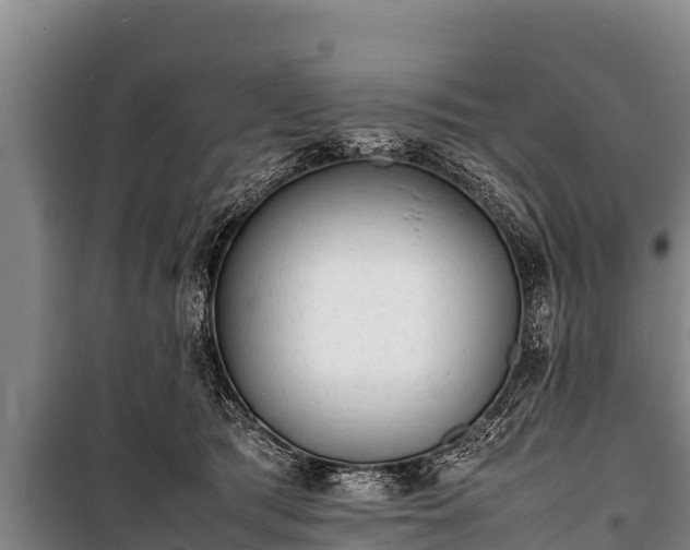 X0000100850417200806271140