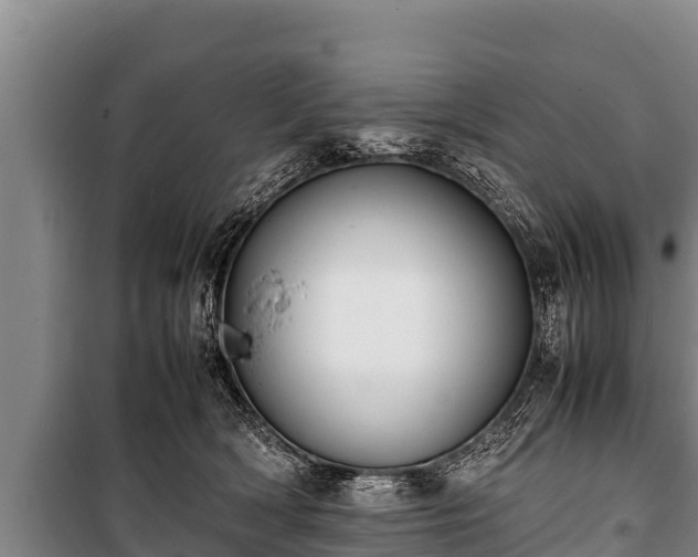 X0000100850418200806271140