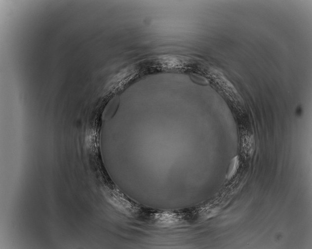 X0000100850419200806271140