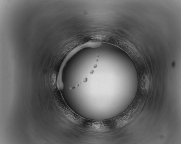 X0000100850420200806271140