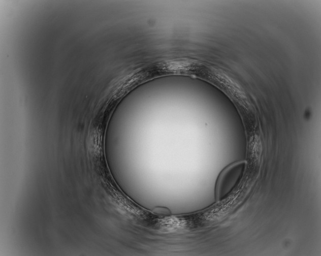 X0000100850421200806271140