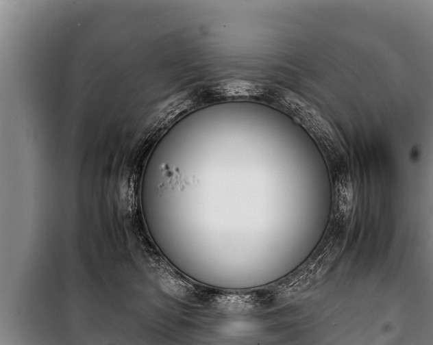 X0000100850422200806271140