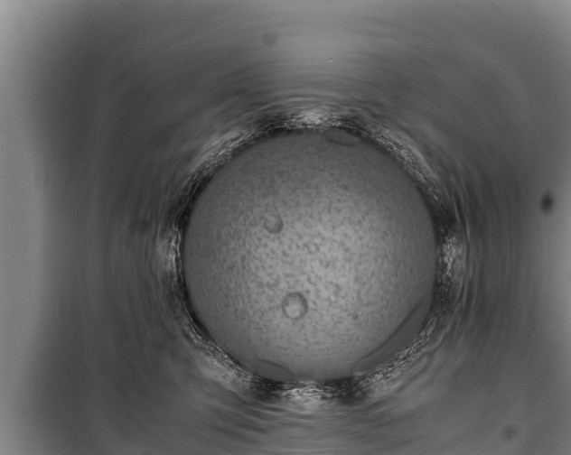 X0000100850423200806271140