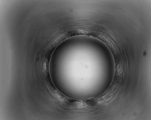 X0000100850424200806271140