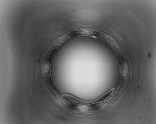 X0000100850425200806271140