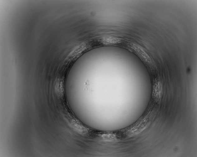 X0000100850426200806271140