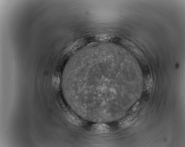 X0000100850427200806271140