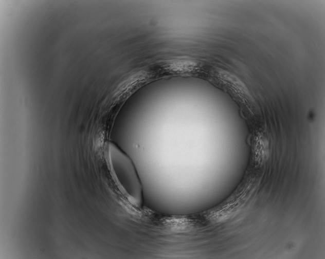 X0000100850428200806271140