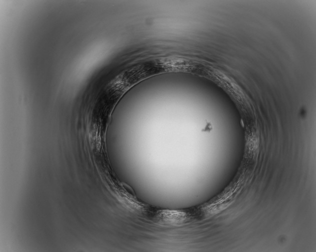 X0000100850429200806271140