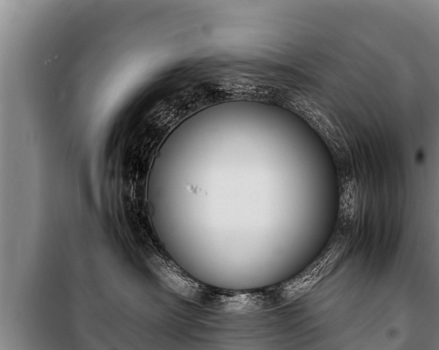 X0000100850430200806271140