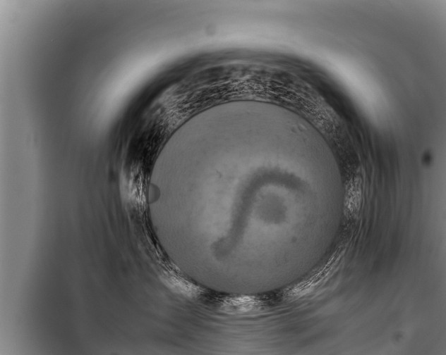 X0000100850431200806271140