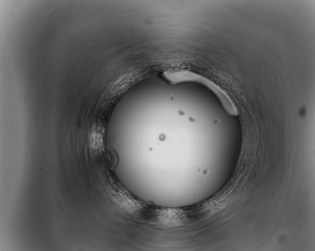 X0000100850432200806271140