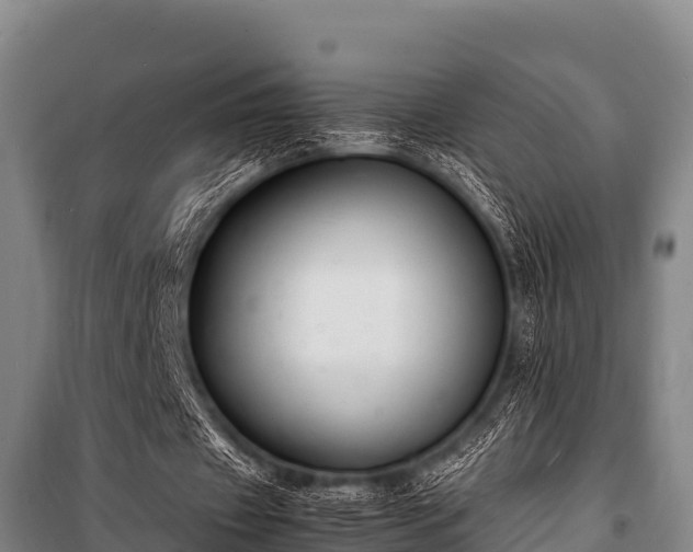 X0000100850433200806271139