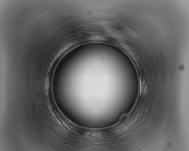 X0000100850435200806271139