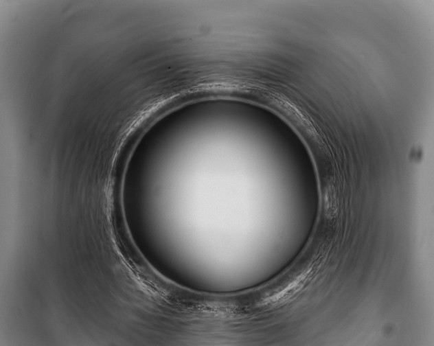 X0000100850436200806271139