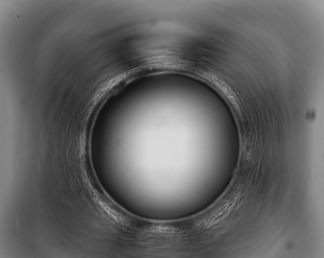 X0000100850437200806271139