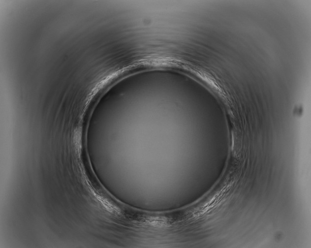 X0000100850438200806271139